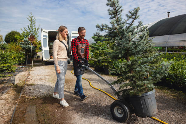 Best Soil Testing and Treatment  in Clear Lake Shores, TX